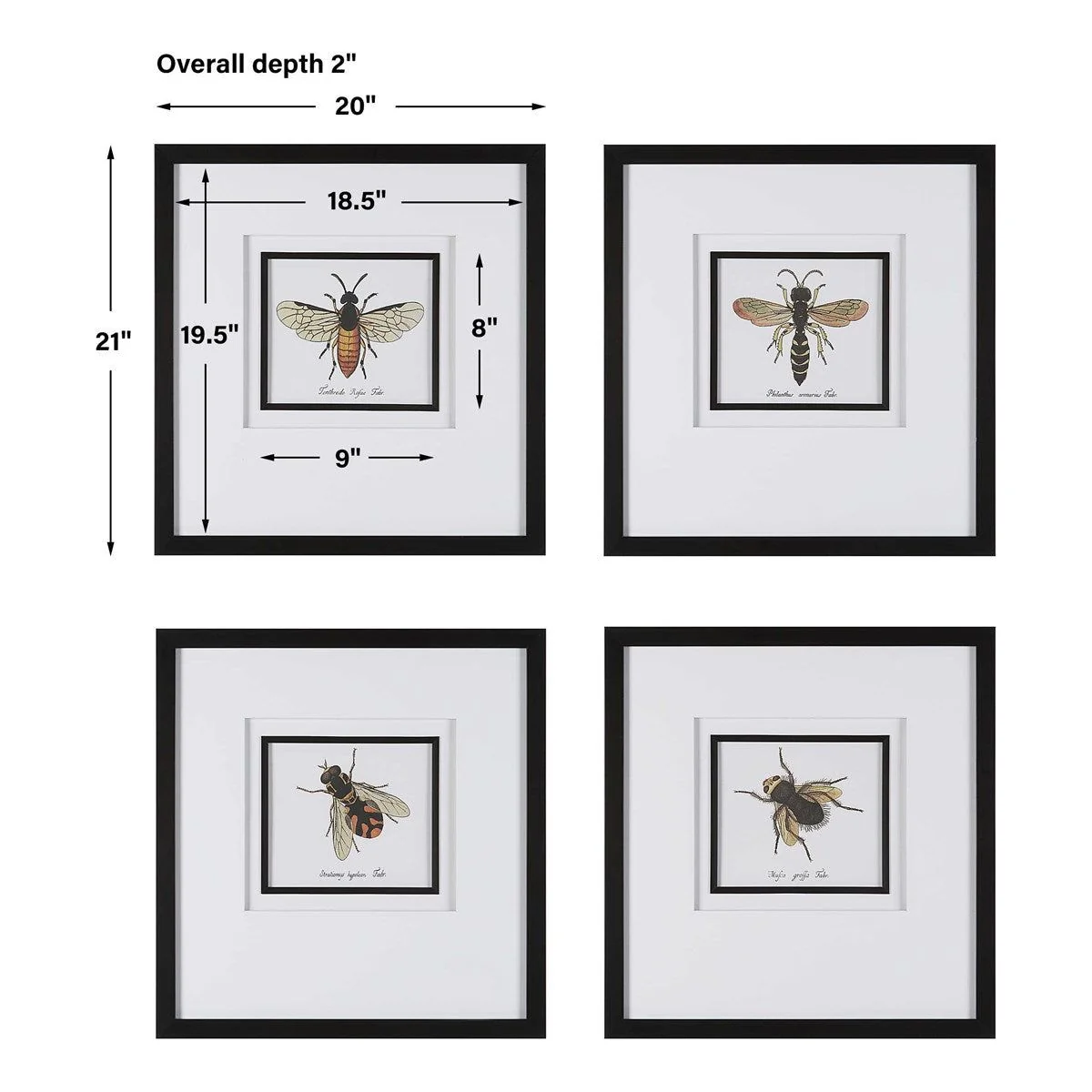 Uttermost Anthophila Bee Set of 4 Framed Prints - Image 5