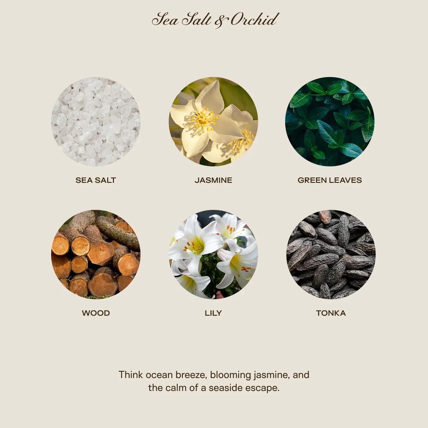 Big Ass Luxuries Sea Salt & Orchid Big Ass Candle ~ 300 oz. ~ IN-STORE PURCHASE ONLY - Image 3