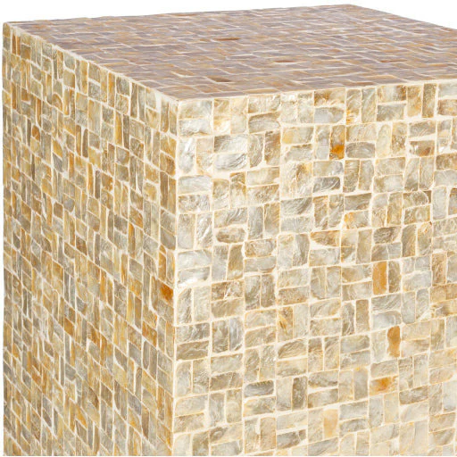 Surya Iridescent Modern Shell and Wood Accent Side Table ISC-008 - Image 3