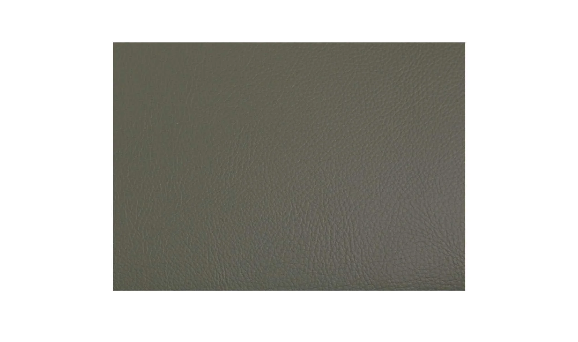 Moe's Home Delaney Dining Chair Dark Green-Set of Two - Image 14