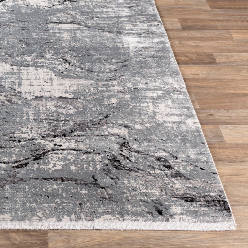 Surya Rugs Solar Collection Charcoal, Gray, Light Gray & Black Area Rug SOR-2309 - Image 8