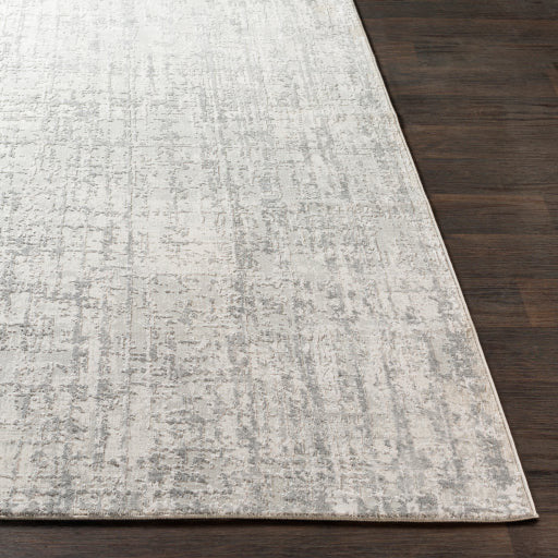 Surya Rugs Aisha Collection Gray, Light Gray & Off White Area Rug AIS-2305 - Image 5