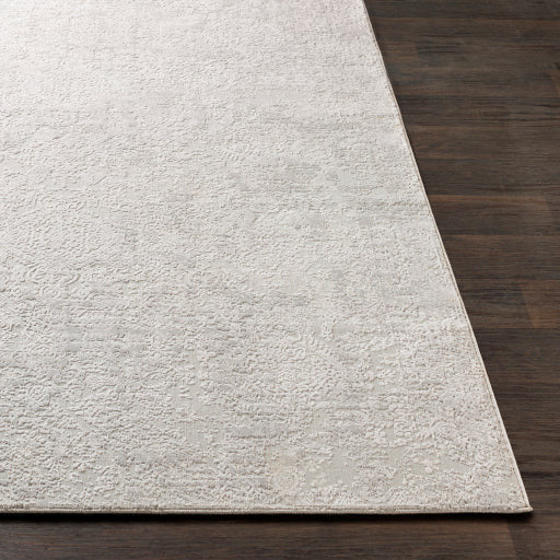 Surya Rugs Aisha Collection Light Gray & Off White Area Rug AIS-2306 - Image 6