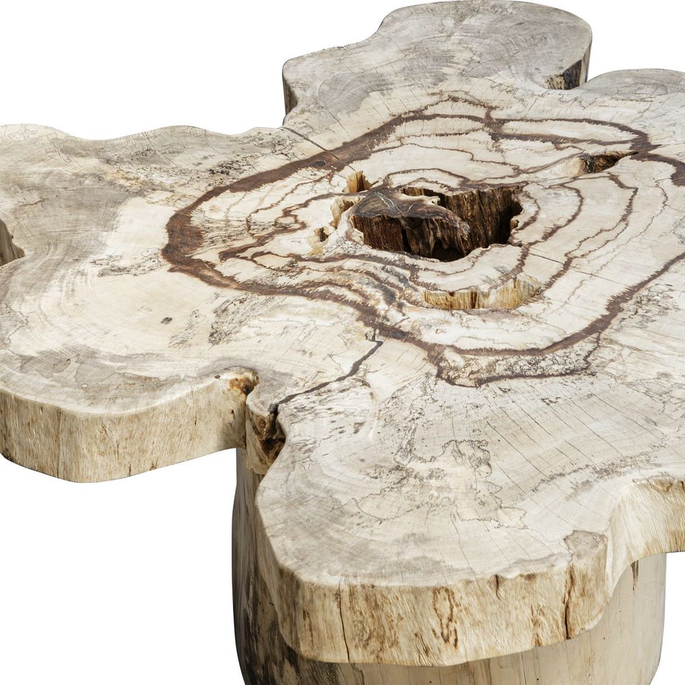 Uttermost Anzalone Bleached Wood Coffee Table - Image 4