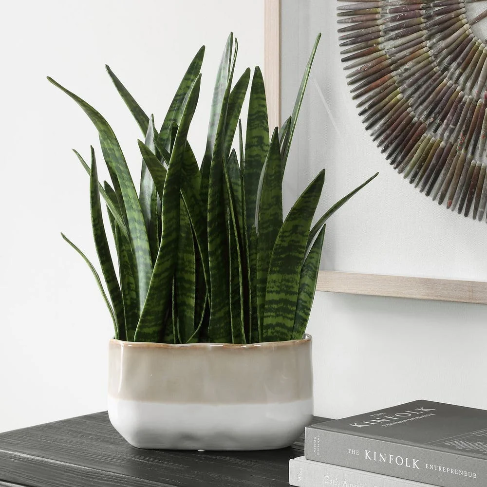 Uttermost Sansera Modern Organic Snake Accent
