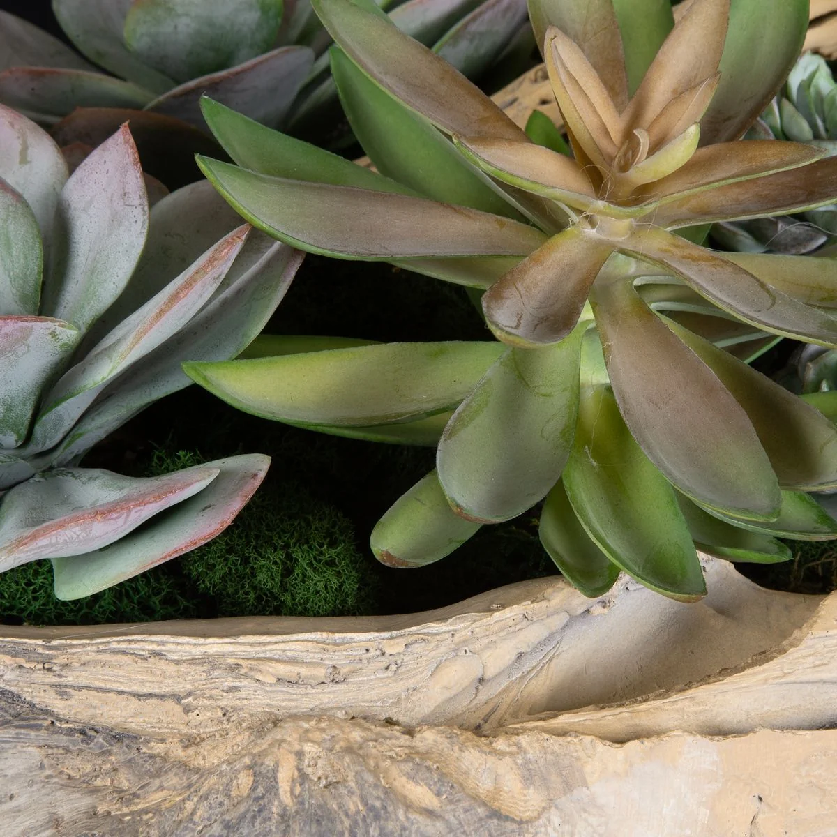Uttermost Seaside Breeze Succulents Botanicals - Image 3