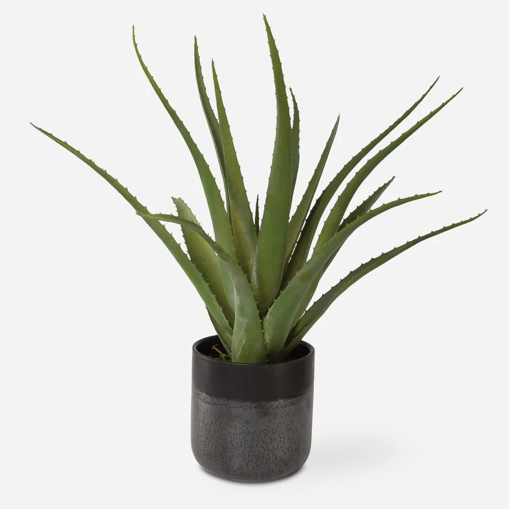 Uttermost Tucson Aloe Planter Botanicals