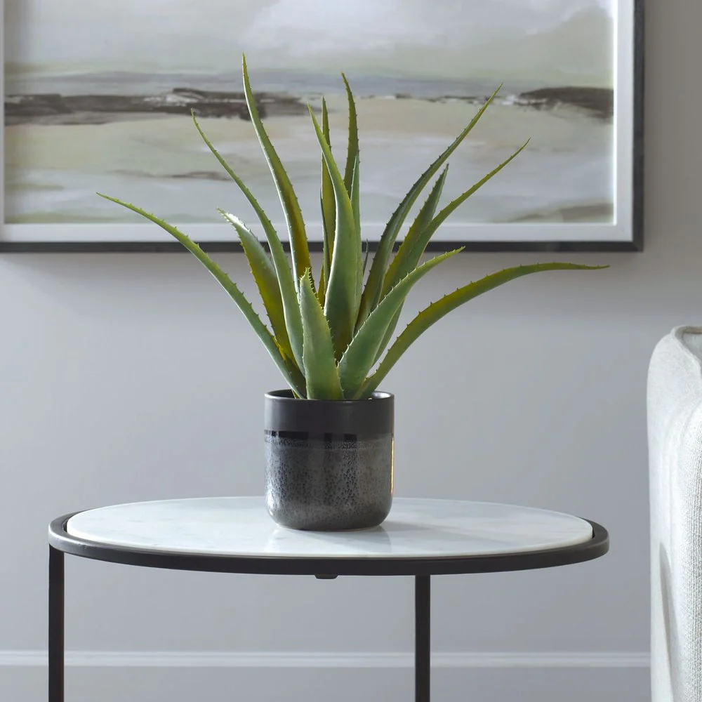 Uttermost Tucson Aloe Planter Botanicals - Image 2